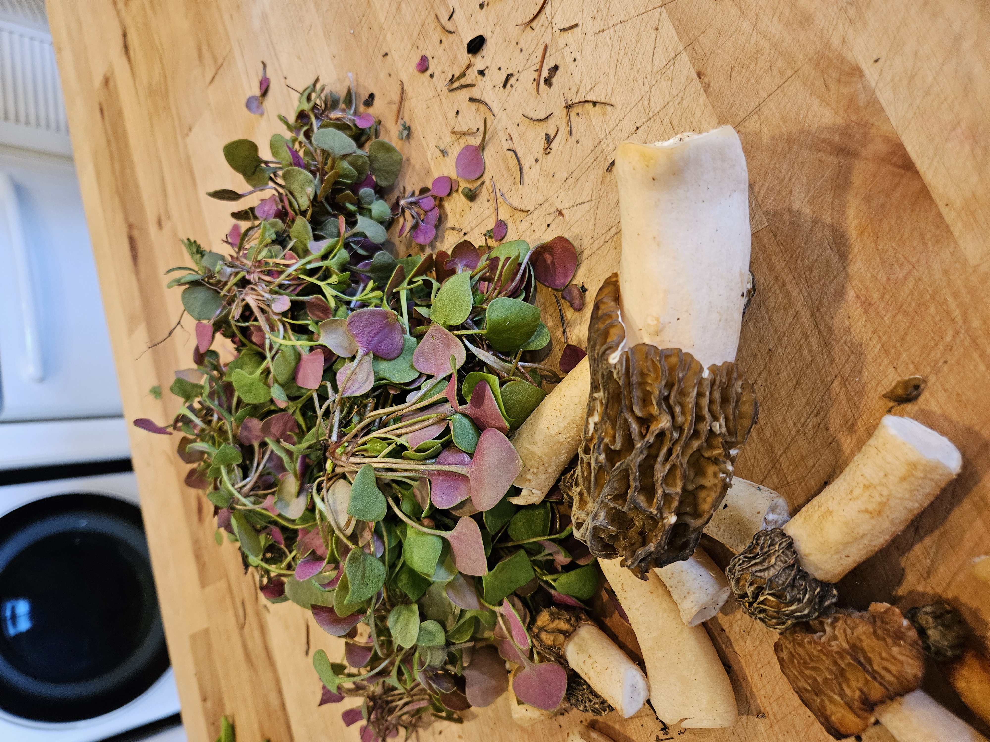 Foraged goods from the garden and forest