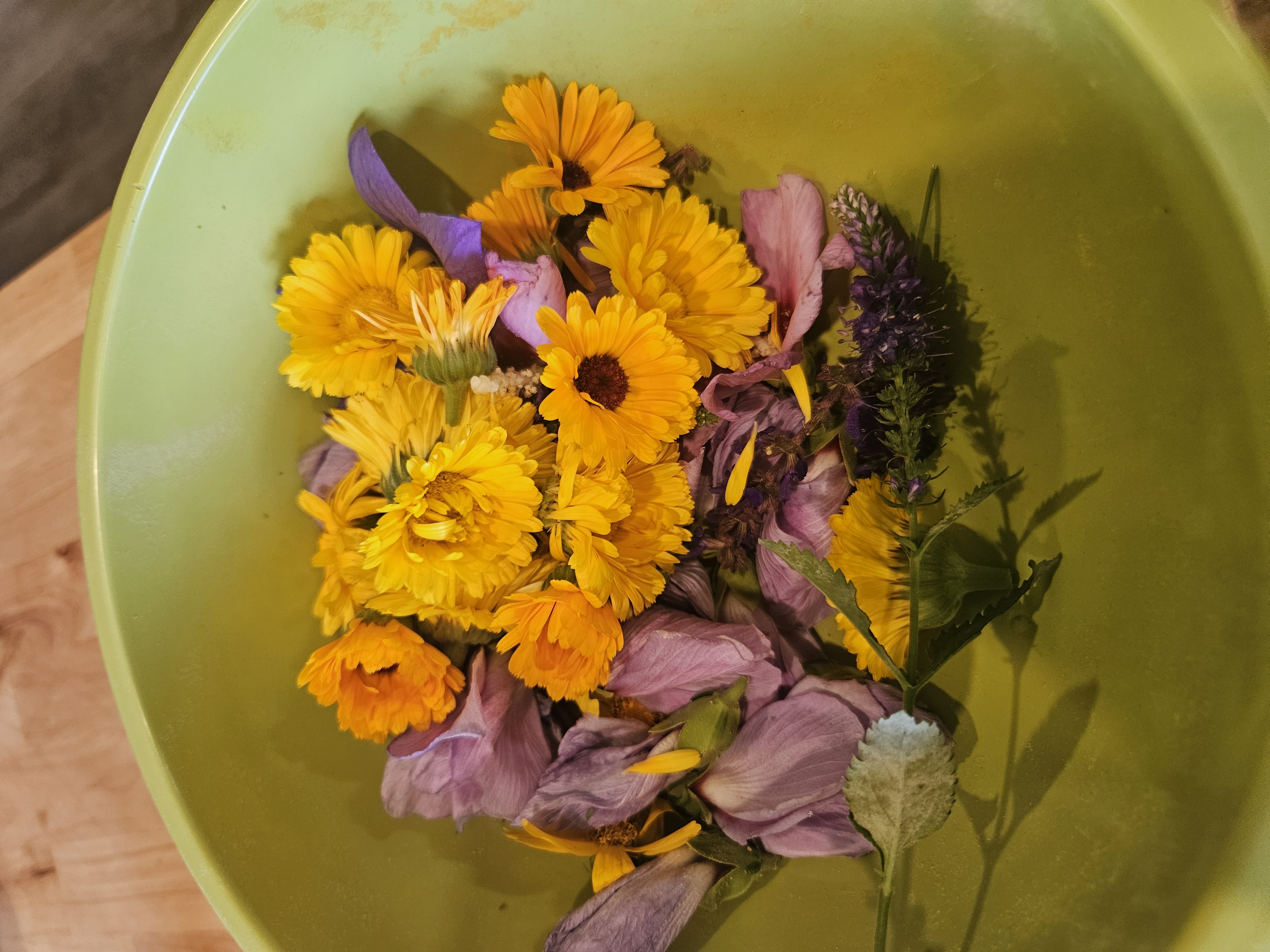The Herbal Workshop — harvested calendula and garden flowers for teas and balms